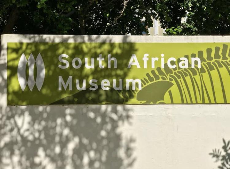 To Let 1 Bedroom Property for Rent in Cape Town City Centre Western Cape